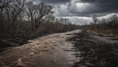 outdoors,sky,day,cloud,water,tree,no humans,cloudy sky,grass,fire,nature,scenery,forest,bare tree,river,landscape,grey sky,overcast