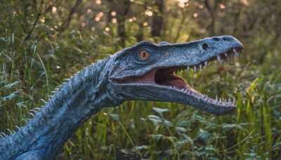 solo,open mouth,yellow eyes,outdoors,teeth,day,tongue,blurry,from side,tree,pokemon (creature),no humans,blurry background,fangs,grass,plant,sharp teeth,nature,forest,realistic,animal focus,dinosaur,flower,slit pupils,scales