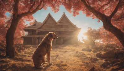 solo,outdoors,sky,day,cloud,tree,blue sky,no humans,animal,leaf,sunlight,building,nature,scenery,rock,sun,autumn leaves,architecture,east asian architecture,autumn,statue,shrine,stone,stone lantern,sepia,orange theme