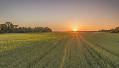 outdoors,sky,cloud,tree,no humans,sunlight,grass,nature,scenery,forest,sunset,mountain,sun,field,landscape,orange sky,hill,evening,gradient sky,yellow sky