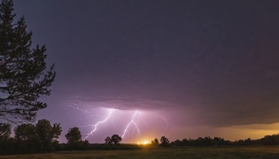 outdoors,sky,cloud,tree,no humans,cloudy sky,grass,nature,scenery,forest,sunset,sun,electricity,lightning,purple sky,night,horizon,twilight,evening,landscape,gradient sky