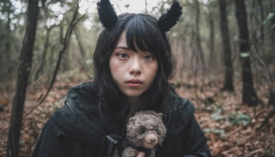 1girl,solo,long hair,looking at viewer,bangs,black hair,holding,animal ears,upper body,outdoors,parted lips,hood,blurry,black eyes,tree,lips,grey eyes,depth of field,blurry background,animal,stuffed toy,nature,forest,freckles,realistic,holding animal,tiger,closed mouth,jacket,horns,day,medium hair,stuffed animal,hood down,dog,nose,puppy