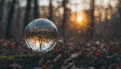 outdoors, blurry, tree, no humans, depth of field, blurry background, scenery, planet