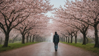 1girl, solo, short hair, black hair, jacket, outdoors, sky, shoes, day, hood, from behind, tree, grass, cherry blossoms, scenery, walking, road, wide shot, path