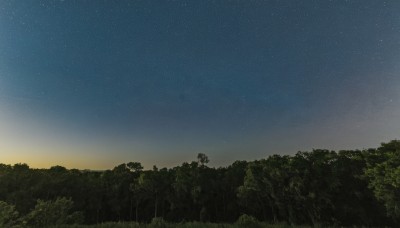 outdoors,sky,tree,no humans,night,grass,plant,star (sky),nature,night sky,scenery,forest,starry sky,sunset,gradient sky,evening,sunrise