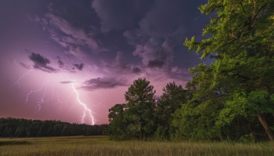 outdoors,sky,cloud,tree,no humans,cloudy sky,grass,nature,scenery,forest,electricity,lightning,purple sky,landscape