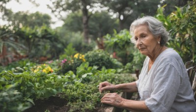 1girl,solo,looking at viewer,1boy,jewelry,closed mouth,upper body,flower,white hair,grey hair,male focus,earrings,outdoors,day,blurry,from side,tree,depth of field,blurry background,facial hair,plant,realistic,old,old man,photo background,old woman,garden,wrinkled skin,short hair,shirt,white shirt,leaf