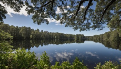 outdoors,sky,day,cloud,water,tree,blue sky,no humans,leaf,cloudy sky,plant,nature,scenery,forest,reflection,landscape,reflective water,signature,grass,lake