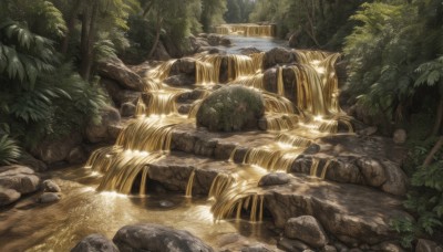 outdoors,day,water,tree,no humans,sunlight,grass,plant,nature,scenery,forest,rock,river,waterfall,moss,stone,leaf,bush,stream