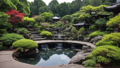 outdoors,day,water,tree,no humans,building,nature,scenery,forest,rock,stairs,architecture,bridge,east asian architecture,river,shrine,moss,pond,stone lantern,real world location,grass,bush,lily pad