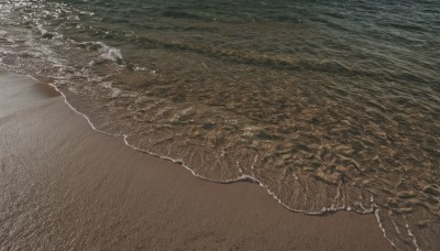 monochrome,outdoors,water,no humans,ocean,animal,traditional media,beach,scenery,brown background,sand,waves,shore,brown theme,day,military,from above,realistic