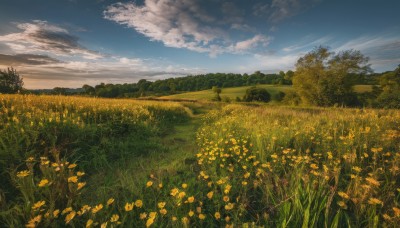 flower,outdoors,sky,day,cloud,tree,blue sky,no humans,cloudy sky,grass,nature,scenery,forest,yellow flower,road,field,flower field,landscape,path,plant,mountain,horizon,mountainous horizon