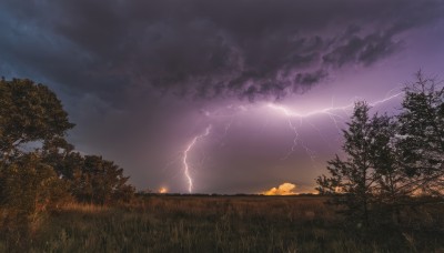 outdoors,sky,cloud,tree,no humans,cloudy sky,grass,nature,scenery,forest,sunset,electricity,lightning,purple sky,night,fire,horizon,dark,field,landscape