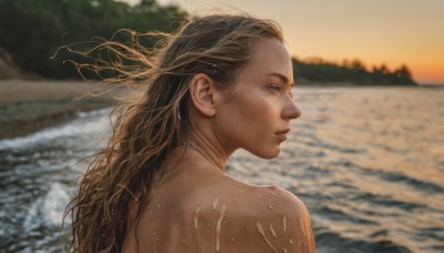 1girl,solo,long hair,blue eyes,brown hair,jewelry,closed mouth,upper body,nude,outdoors,dark skin,water,necklace,from behind,blurry,lips,wet,profile,depth of field,blurry background,ocean,looking away,beach,messy hair,portrait,freckles,sunset,realistic,nose,wet hair,bare shoulders,brown eyes,hairband,earrings,sky,back,wind,waves,shore