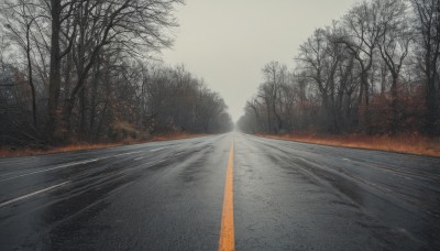 outdoors,sky,day,cloud,tree,no humans,fire,nature,scenery,forest,road,bare tree,street,grey sky,cloudy sky,grass,path