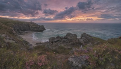 flower,outdoors,sky,cloud,water,no humans,ocean,beach,cloudy sky,grass,scenery,sunset,rock,sand,horizon,field,waves,landscape,shore,nature