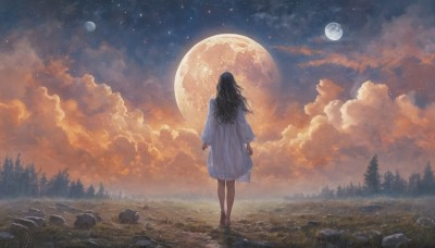 1girl,solo,long hair,black hair,long sleeves,dress,standing,outdoors,sky,barefoot,cloud,from behind,white dress,tree,night,moon,cloudy sky,grass,star (sky),nature,night sky,scenery,full moon,forest,starry sky,walking,rock,arms at sides,facing away,fantasy,wide shot,planet,landscape