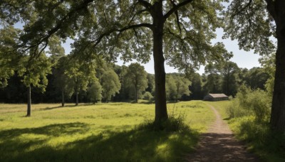 outdoors,sky,day,cloud,tree,blue sky,no humans,shadow,sunlight,grass,nature,scenery,forest,road,bush,path,plant,shade,dappled sunlight,landscape