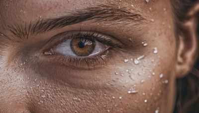 solo,brown hair,1boy,brown eyes,male focus,blurry,wet,eyelashes,close-up,freckles,reflection,realistic,eye focus,looking at viewer,yellow eyes,tears,portrait