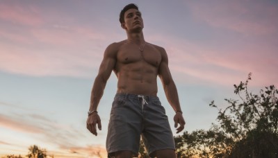 solo,looking at viewer,short hair,black hair,1boy,navel,jewelry,closed mouth,nipples,standing,male focus,cowboy shot,outdoors,sky,shorts,dark skin,necklace,bracelet,tree,muscular,abs,dark-skinned male,pectorals,muscular male,topless male,sunset,realistic,very short hair,undercut,very dark skin,brown hair,earrings,cloud,facial hair,thick eyebrows,bara,large pectorals,male swimwear,swim trunks