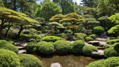 outdoors,sky,day,cloud,water,tree,no humans,grass,nature,scenery,forest,rock,road,bush,river,landscape,path,blue sky,traditional media,plant,moss