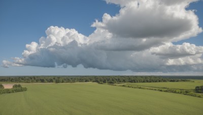 outdoors,sky,day,cloud,tree,blue sky,no humans,cloudy sky,grass,nature,scenery,mountain,horizon,road,field,landscape,hill,monochrome,forest