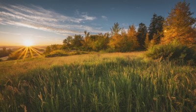 outdoors,sky,day,cloud,tree,blue sky,no humans,sunlight,cloudy sky,grass,nature,scenery,forest,sunset,mountain,sun,field,landscape,sunrise,hill,horizon,autumn,evening