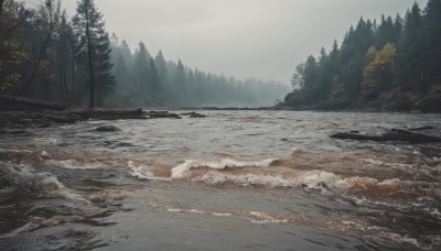 outdoors,sky,day,cloud,water,tree,no humans,ocean,beach,nature,scenery,snow,forest,sand,winter,bare tree,waves,landscape,shore,grey sky,cloudy sky,rock,mountain,overcast