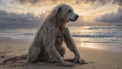 outdoors, sky, cloud, water, no humans, ocean, beach, cloudy sky, realistic, sand, sun