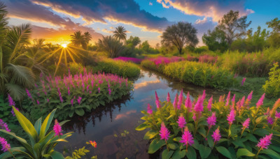 flower, outdoors, sky, cloud, water, tree, no humans, cloudy sky, grass, plant, nature, scenery, reflection, sunset, sun