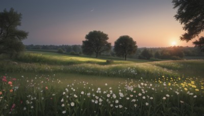 flower,outdoors,sky,cloud,tree,no humans,moon,grass,plant,white flower,nature,scenery,forest,sunset,yellow flower,sun,bush,field,evening,gradient sky,crescent moon,twilight,landscape