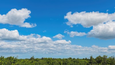 outdoors,sky,day,cloud,tree,blue sky,no humans,cloudy sky,grass,nature,scenery,forest,summer,power lines,signature