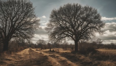 outdoors,sky,day,cloud,tree,blue sky,no humans,sunlight,cloudy sky,grass,nature,scenery,forest,road,bare tree,landscape,path,field