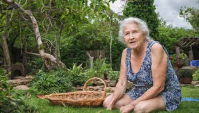 1girl,solo,looking at viewer,1boy,dress,sitting,closed eyes,white hair,male focus,outdoors,barefoot,sleeveless,day,tree,parody,grass,plant,nature,realistic,basket,ruins,old,old man,statue,fine art parody,old woman,overgrown,food,sky,cloud,fruit,leaf,dirty