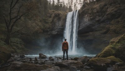 solo, black hair, 1boy, standing, jacket, male focus, outdoors, pants, hood, water, from behind, tree, nature, scenery, forest, rock, waterfall