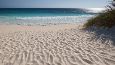 outdoors,sky,day,water,tree,blue sky,no humans,ocean,beach,scenery,sand,horizon,skeleton,waves,shore,cloud,nature