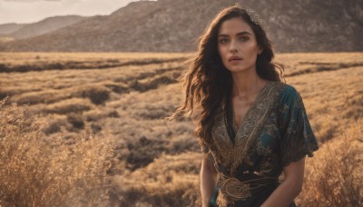 1girl,solo,long hair,breasts,looking at viewer,brown hair,black hair,hair ornament,dress,brown eyes,collarbone,upper body,short sleeves,outdoors,parted lips,day,blurry,lips,blurry background,blue dress,wind,scenery,mountain,realistic,looking afar,field,sky,sunlight,backlighting,wheat