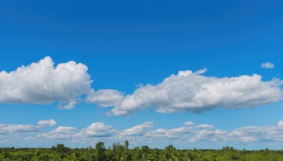 outdoors,sky,day,cloud,tree,blue sky,no humans,cloudy sky,grass,nature,scenery,forest,landscape,summer