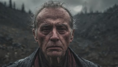 solo,looking at viewer,short hair,shirt,1boy,closed mouth,jacket,grey hair,male focus,outdoors,blurry,black eyes,tree,blurry background,facial hair,messy hair,portrait,realistic,manly,old,old man,grey sky,wrinkled skin,collared shirt,scar,cloudy sky,red shirt,facing viewer,overcast