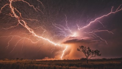 outdoors,sky,cloud,tree,no humans,night,cloudy sky,grass,star (sky),nature,night sky,scenery,starry sky,sunset,electricity,lightning,signature,plant,dark,landscape