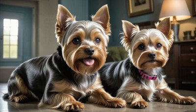 HQ,blue eyes,tongue,indoors,tongue out,blurry,collar,no humans,window,depth of field,blurry background,animal,dog,realistic,lamp,animal focus,looking at viewer,brown eyes,closed mouth,lying,black eyes,reflection,animal collar