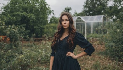 1girl,solo,long hair,looking at viewer,blue eyes,brown hair,dress,brown eyes,standing,outdoors,day,blurry,black dress,tree,lips,hand on hip,blurry background,blue dress,wavy hair,curly hair,realistic,photo background,flower,necklace,bush,garden