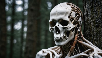 solo,1boy,upper body,male focus,teeth,blurry,no humans,blurry background,science fiction,skull,realistic,skeleton,bone,depth of field,robot,portrait