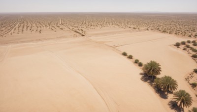 outdoors,sky,day,tree,no humans,beach,plant,nature,scenery,sand,palm tree,horizon,road,shore,desert,water,shadow,ocean,rock