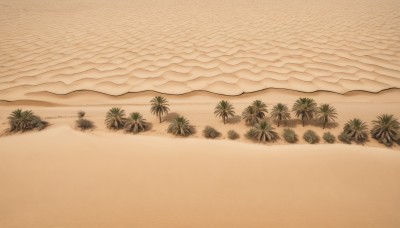 outdoors,sky,water,tree,no humans,ocean,traditional media,beach,plant,scenery,sunset,sand,palm tree,horizon,shore,desert,cloud,leaf,nature,mountain,bush,orange sky,hill,island