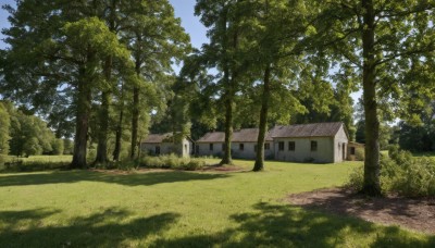 outdoors,sky,day,cloud,tree,blue sky,no humans,window,shadow,sunlight,grass,building,nature,scenery,forest,road,bush,shade,house,path