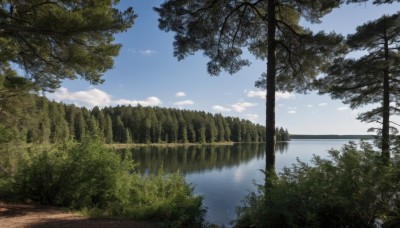 outdoors,sky,day,cloud,water,tree,blue sky,no humans,cloudy sky,grass,plant,nature,scenery,forest,reflection,road,bush,river,landscape,lake,bird,ocean,horizon