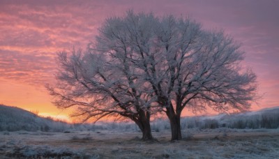 outdoors,sky,cloud,tree,no humans,cloudy sky,grass,nature,scenery,snow,forest,sunset,mountain,winter,bare tree,twilight,evening,landscape,mountainous horizon,gradient sky,orange sky,field