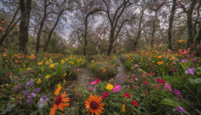 flower, outdoors, day, tree, no humans, grass, plant, red flower, nature, scenery, forest, yellow flower, purple flower, sunflower, road, field, orange flower, path