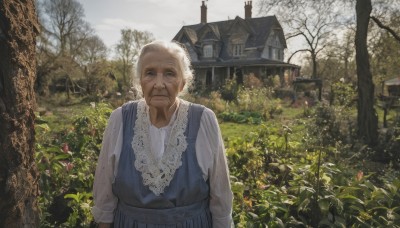 1girl,solo,looking at viewer,blue eyes,shirt,long sleeves,1boy,dress,closed mouth,standing,white shirt,upper body,flower,white hair,male focus,outdoors,day,tree,blue dress,facial hair,plant,building,nature,scenery,realistic,house,old,old man,bare tree,old woman,wrinkled skin,blonde hair,sky,apron,vest,grass,lace trim,lace,forest,garden